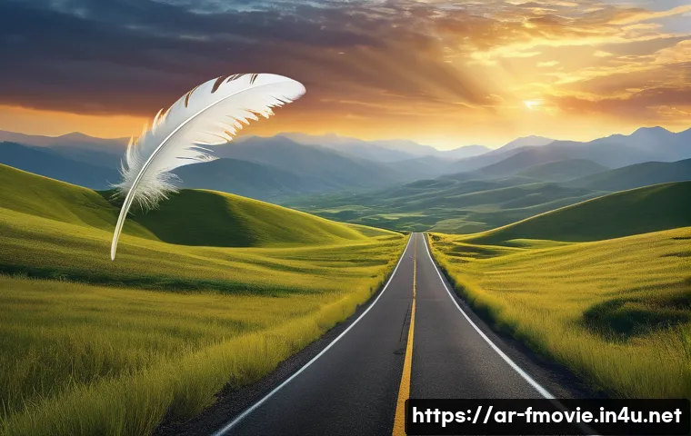 أسرار شراء بلو راي فورست جامب التي لن يخبرك بها أحد! 4 포레스트 검프 블루레이 구매 관련 이미지 2